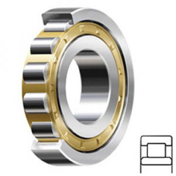 SCHAEFFLER GROUP USA INC NU1028-M1A-C3 Rodamientos de Rodillos Cilíndricos