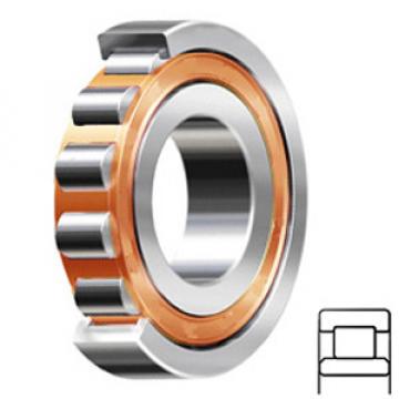 SKF NU 210 ECP/C3 Rodamientos de Rodillos Cilíndricos