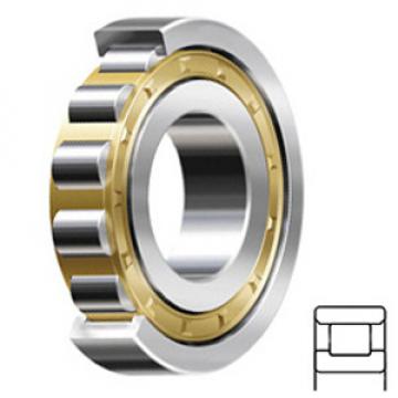 SKF N 217 ECM Rodamientos de Rodillos Cilíndricos