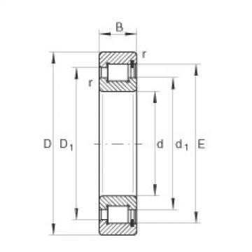 Rodamiento SL182956 INA