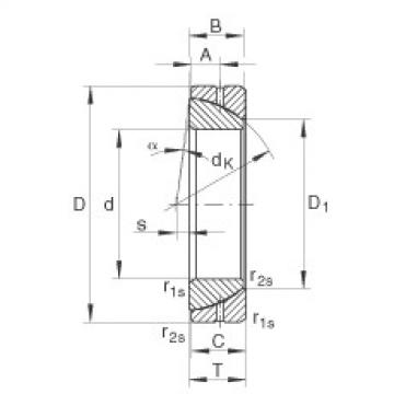 Rodamiento GE28-SX INA