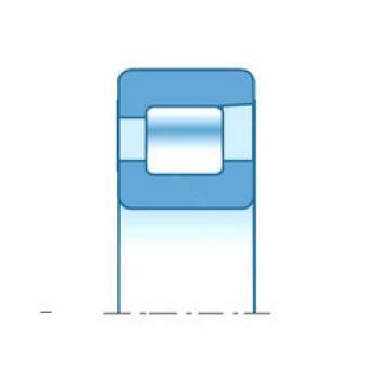 Rodamiento NFV3036A NTN