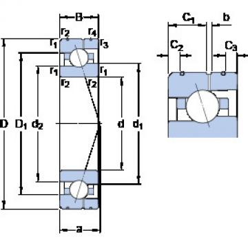 Rodamiento 7020 ACE/P4AL SKF