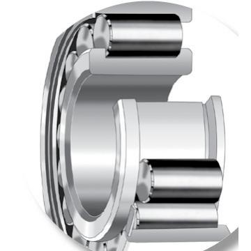 Bearing NU2218EMA