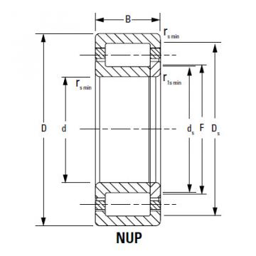 Bearing NU1096EMA