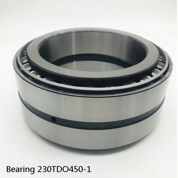 Bearing 230TDO450-1