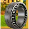 Bearing NNCL4876V