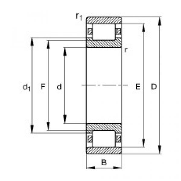 Rodamiento N219-E-TVP2 FAG #1 image