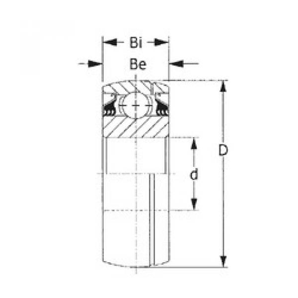 Rodamiento GW315PPB11 CYSD #1 image