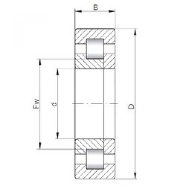 Rodamiento NUP2309 E CX #1 image