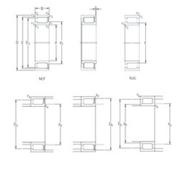 Rodamiento NCF29/950V SKF #1 image