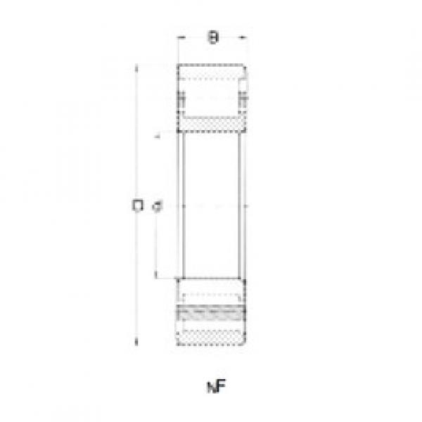 Rodamiento NF317 CRAFT #1 image