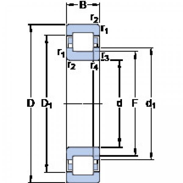 Rodamiento NUP 2215 ECJ SKF #1 image