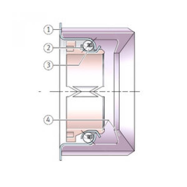 Rodamiento F-213334.5 INA #1 image