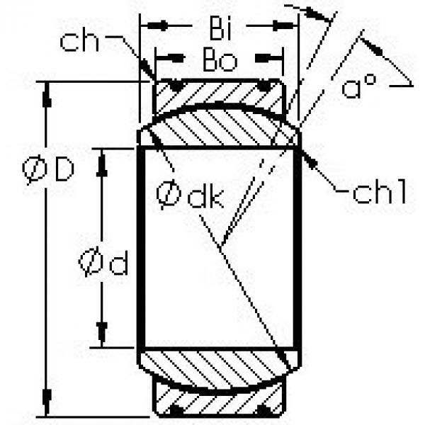 Rodamiento GE100XT/X AST #1 image