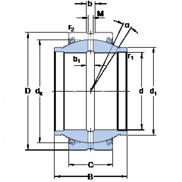 Rodamiento GEZM 100 ES-2LS SKF #1 image