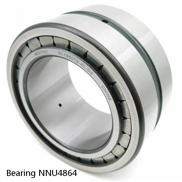Bearing NNU4864 #1 image